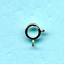 AM55SL