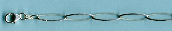 MGS081